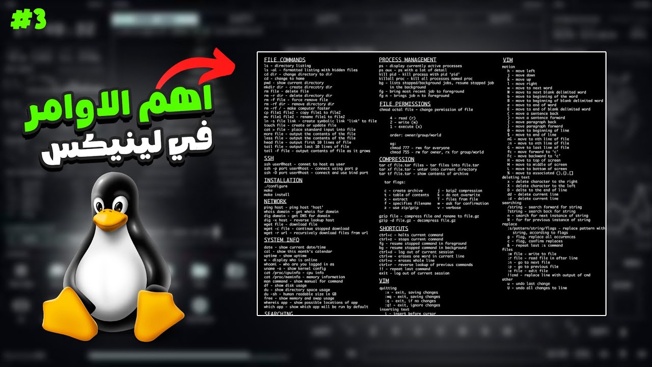 The most important commands in Linux "Part 1"